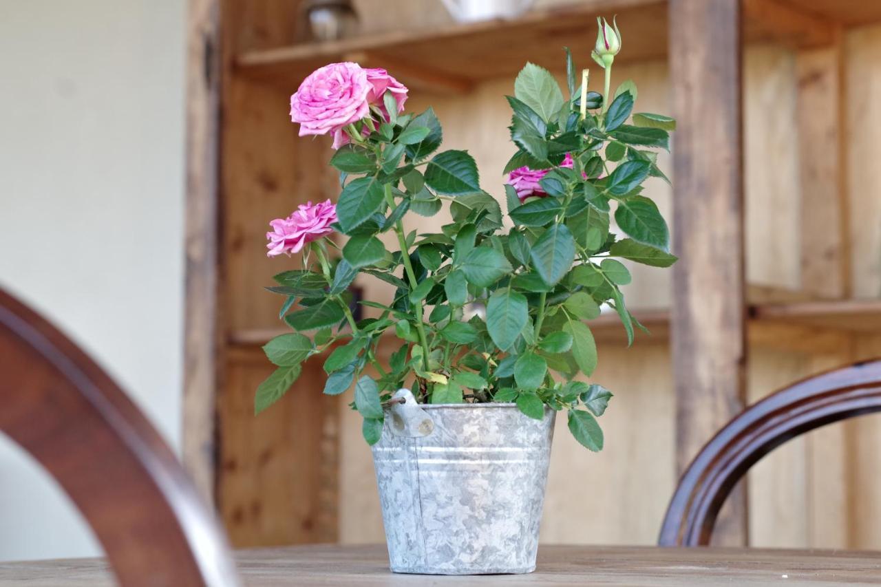 Bed and Breakfast Beb Montefratta Fratta Terme Exterior foto