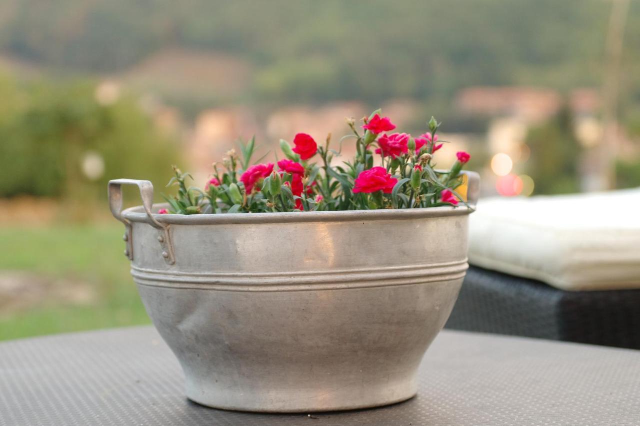 Bed and Breakfast Beb Montefratta Fratta Terme Exterior foto