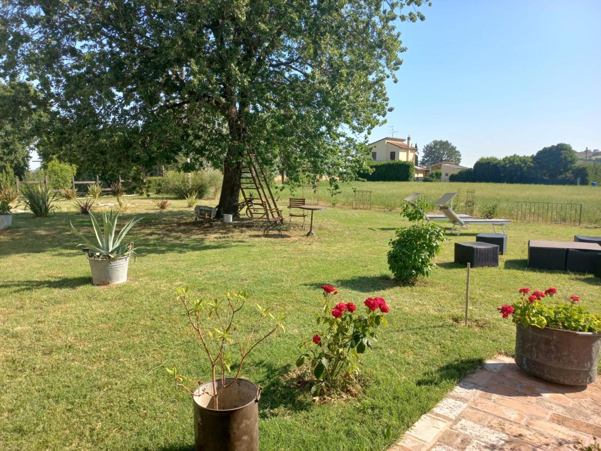 Bed and Breakfast Beb Montefratta Fratta Terme Exterior foto